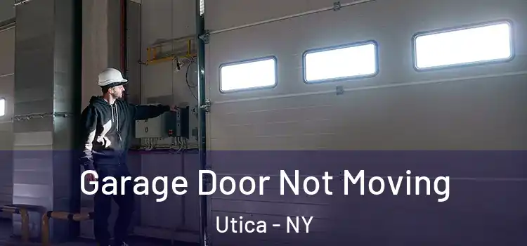  Garage Door Not Moving Utica - NY
