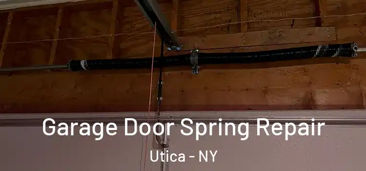  Garage Door Spring Repair Utica - NY